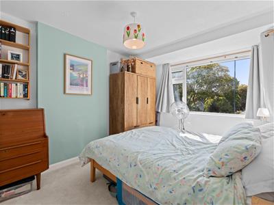 Picture 17